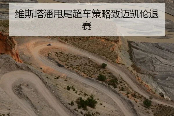维斯塔潘甩尾超车策略致迈凯伦退赛 | KY